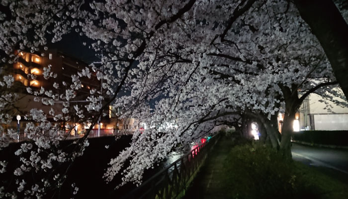 ナチュラルな家　かわいいお家　京都