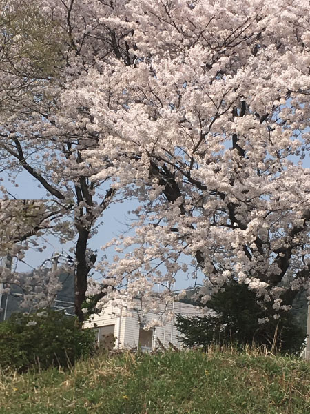 ナチュラルな家　かわいいお家　京都　