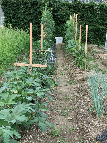 ナチュラルなお家の家庭菜園